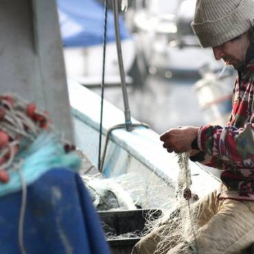 Lavoro della Cooperativa
