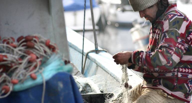 Lavoro della Cooperativa