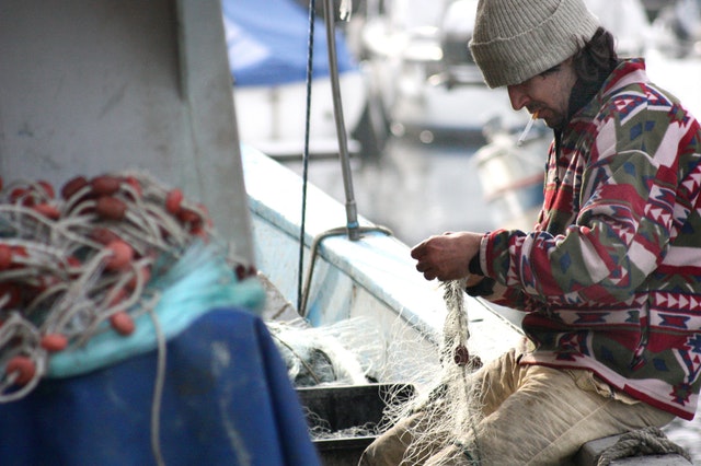 Lavoro della Cooperativa